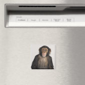 aap magneet (Insitu (Vaatwasser))