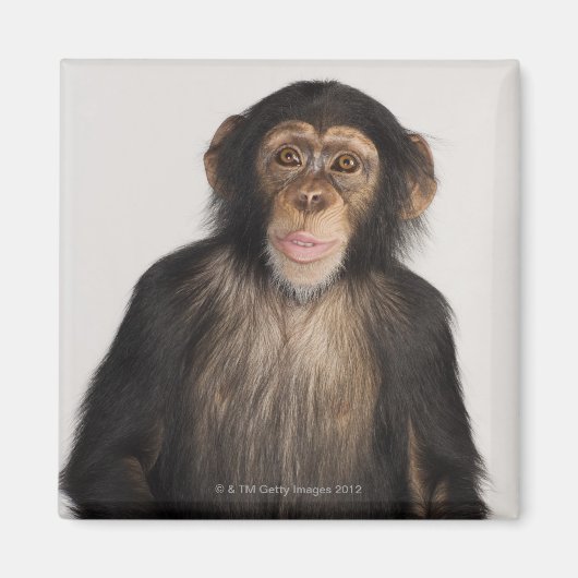 aap magneet (Voorkant)