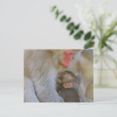 Aap Maternale Verbinding Briefkaart (Staand voorkant)