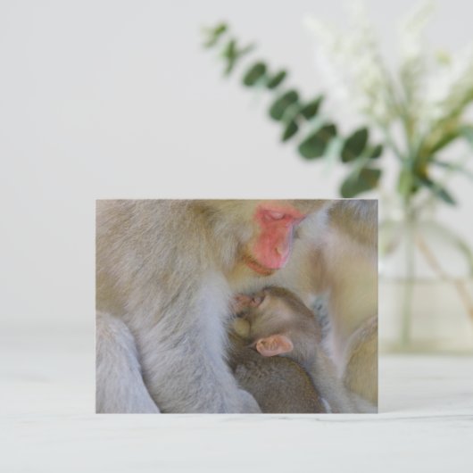 Aap Maternale Verbinding Briefkaart (Staand voorkant)