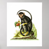Aap met fruit poster (Voorkant)
