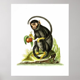 Aap met fruit poster