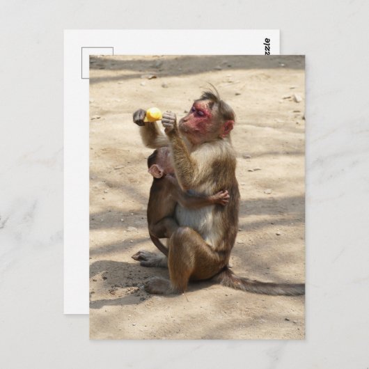 aap - Moeders ontbijt Briefkaart (Voorkant / Achterkant)