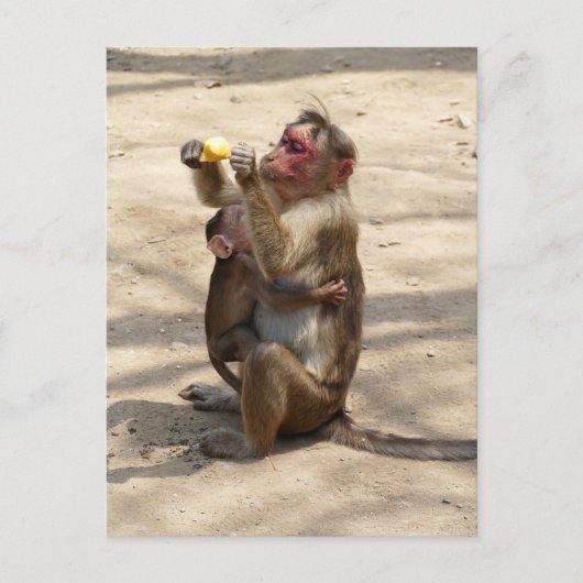 aap - Moeders ontbijt Briefkaart (Voorkant)