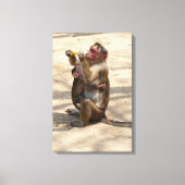 Aap - Moeders Ontbijt Canvas Afdruk (Voorkant)