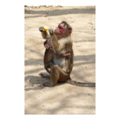 aap - Moeders ontbijt Foto Afdruk (Voorkant)