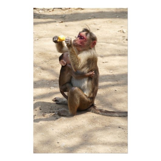 aap - Moeders ontbijt Foto Afdruk (Voorkant)