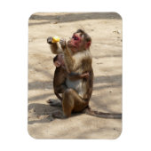 aap - Moeders ontbijt Magneet (Verticaal)