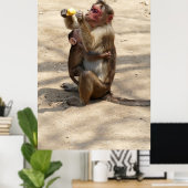 aap - Moeders ontbijt Poster (Thuiskantoor)