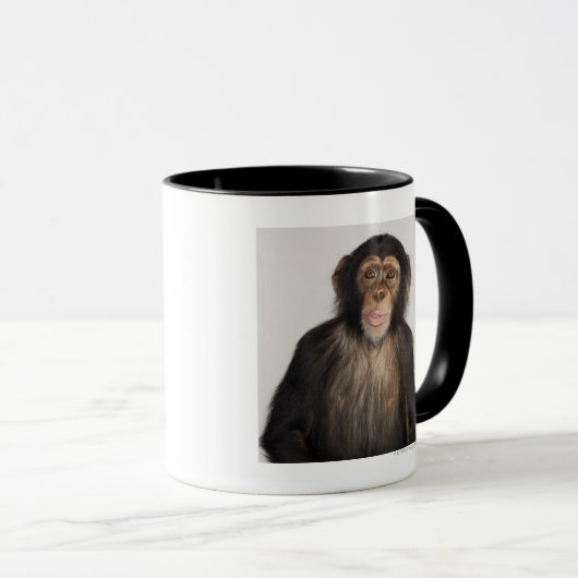 aap mok (Voorkant rechts)