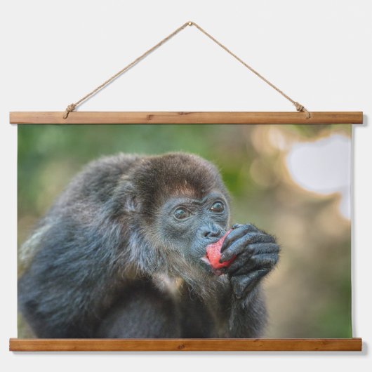 Aap Munching Watermeloen Hangend Wandkleed (Voorkant 2)