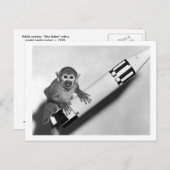 Aap - NASA - jaren '50 Briefkaart (Voorkant / Achterkant)