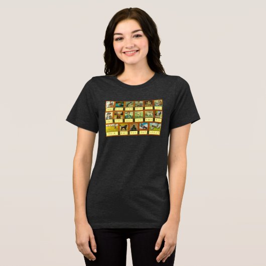 Aap Noot Mies Tri-Blend Shirt (Voorkant volledig)