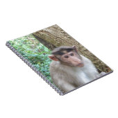 aap notitieboek (Rechterzijde)