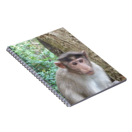 aap notitieboek (Rechterzijde)