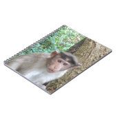 aap notitieboek (Linkerzijde)