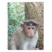 aap notitieboek (Voorkant)