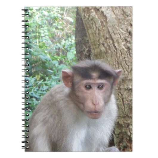 aap notitieboek (Voorkant)