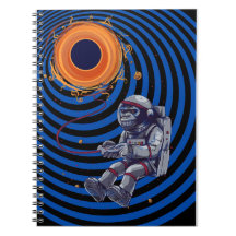 aap op de ruimtevlucht