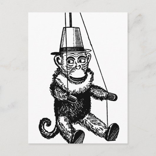 aap op een Briefkaart van het Koord (Voorkant)