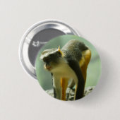 aap ronde button 5,7 cm (Voorkant /achterkant)