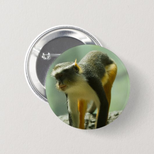 aap ronde button 5,7 cm (Voorkant /achterkant)