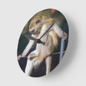 aap ronde klok (Hoek)