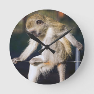 aap ronde klok