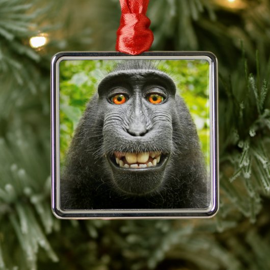 Aap Selfie Metalen Ornament (Boom)