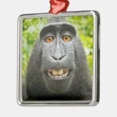 Aap Selfie Metalen Ornament (Links)