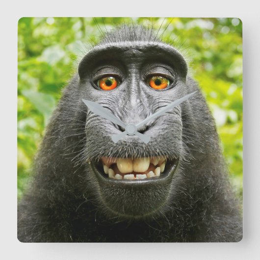 Aap Selfie Vierkante Klok (Voorkant)