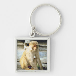 aap sleutelhanger