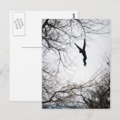 Aap Swinging Briefkaart (Voorkant / Achterkant)