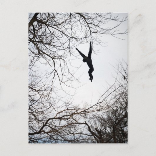 Aap Swinging Briefkaart (Voorkant)