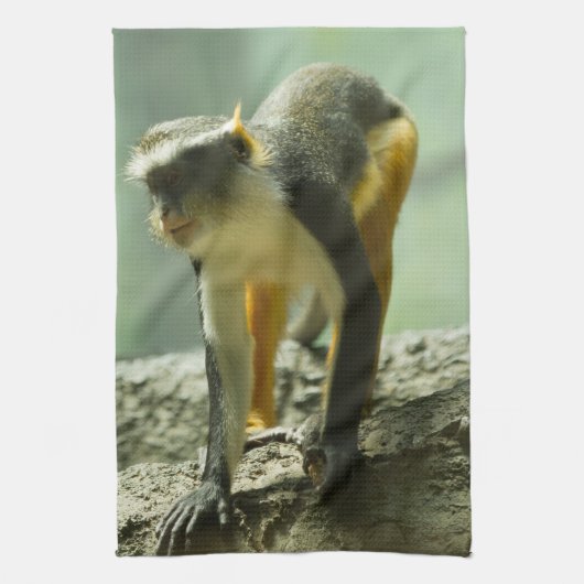 aap theedoek (Verticaal)