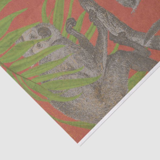 aap tissuepapier (Detail)