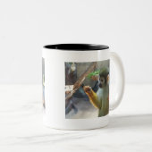 aap tweekleurige koffiemok (Voorkant rechts)