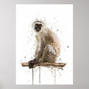Aap Vervet Poster
