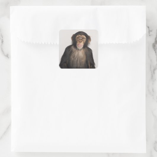 aap vierkante sticker (Tas)