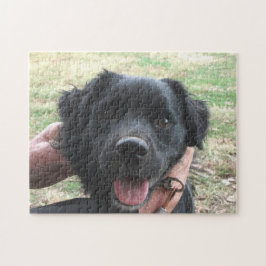 aap voor camera's legpuzzel