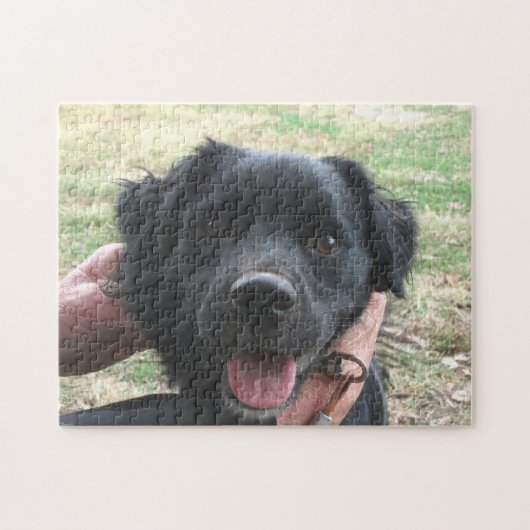 aap voor camera's legpuzzel (Horizontaal)