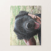 aap voor camera's legpuzzel (Verticaal)