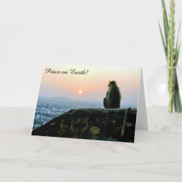 Aap Vrede Krijgen Apenkaart voor de Feestdagen Kaart