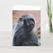 Aap wordt snel beter kaart (Achterkant)