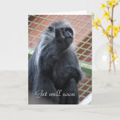 Aap wordt snel beter kaart (Gele Bloem)