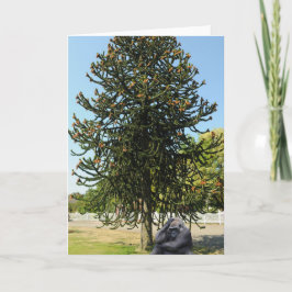 Aapje Puzzel & Verwarde Gorilla. Kaart