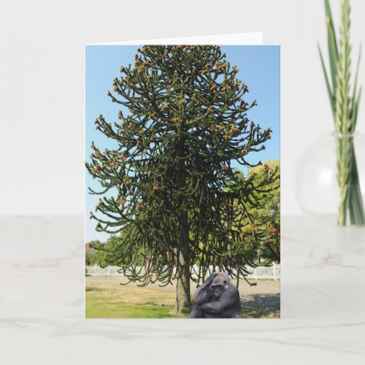 Aapje Puzzel & Verwarde Gorilla. Kaart (Voorkant)