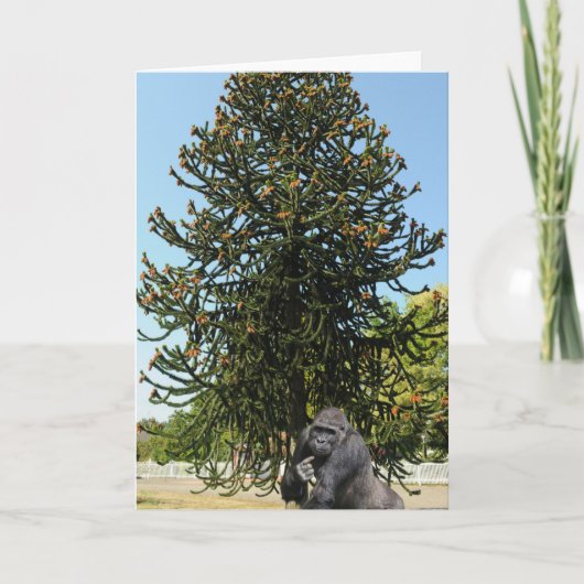 Aapje Puzzel & Verwarde Gorilla. Kaart (Voorkant)