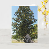 Aapje Puzzel & Verwarde Gorilla. Kaart (Gele Bloem)