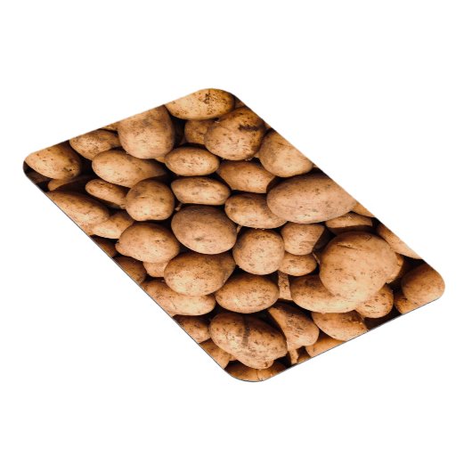 Aardappel Magneet (Rechterzijde)